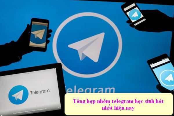 Những hoạt động phổ biến trong nhóm Telegram học sinh là gì?